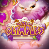 logotipo de Cats of Olympuss