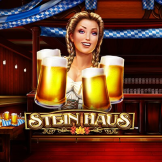 logotipo de Stein Haus