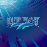 Dolphin Treasure logo