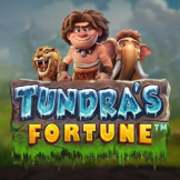 logotipo de Tundra's Fortune