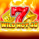 logotipo de Wild Hot 40