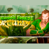 Sherwood Forest Fortunes logo