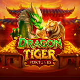 logotipo de Dragon Tiger Fortunes