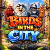 logotipo de Birds in The City
