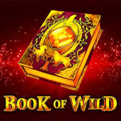 logotipo de Book of Wild
