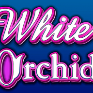 logotipo de White Orchid