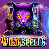 logotipo de Wild Spells