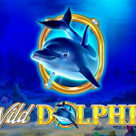 logotipo de Wild Dolphin