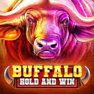 logotipo de Buffalo Hold and Win