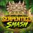 logotipo de Serpentico Smash