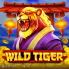 logotipo de Wild Tiger