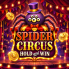 logotipo de Spider Circus Hold and Win