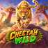 logotipo de Cheetah Wild