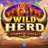 logotipo de Wild Herd Stampede Stacks