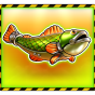 imagen de Fish