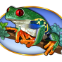 imagen de Frog