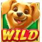 imagen de Wild