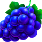 imagen de Grape