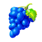 imagen de Grapes