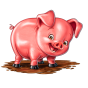 imagen de Pig