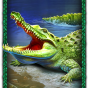 imagen de Crocodile