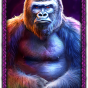 imagen de Gorilla
