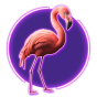 imagen de Flamingo
