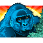 imagen de Gorilla