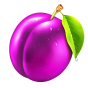 imagen de Plum