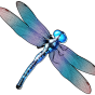 imagen de Dragonfly