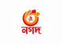 logotipo de Nagad
