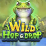 logotipo de Wild Hop and Drop