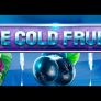logotipo de Ice Cold Fruits