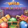 logotipo de Wild Bazaar