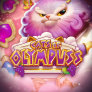 logotipo de Cats of Olympuss