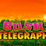 logotipo de Bush Telegraph
