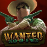 logotipo de Wanted Dead or a Wild