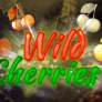 logotipo de Wild Cherries