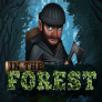 logotipo de In the Forest