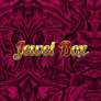 logotipo de Jewel Box