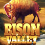 logotipo de Bison Valley