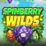 logotipo de Spinberry Wilds