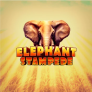 logotipo de Elephant Stampede