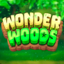 logotipo de Wonder Woods