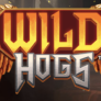 logotipo de Wild Hogs