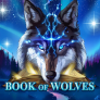logotipo de Book Of Wolves