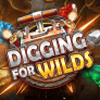 logotipo de Digging for Wilds
