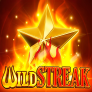 logotipo de Wild Streak