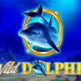 logotipo de Wild Dolphin