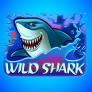 logotipo de Wild Shark